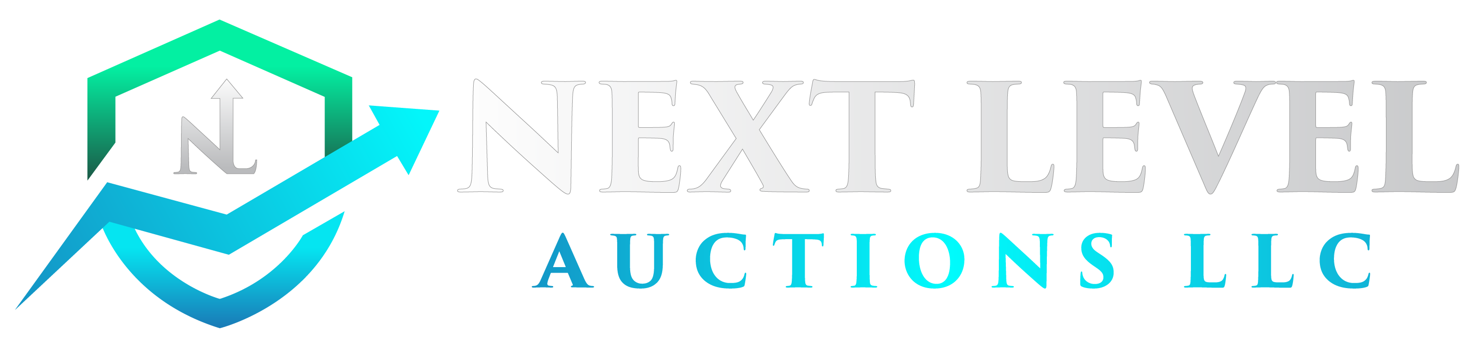 Next Level Auctions